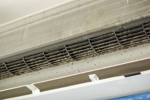 Best Emergency Air Duct Cleaning  in Vance, AL