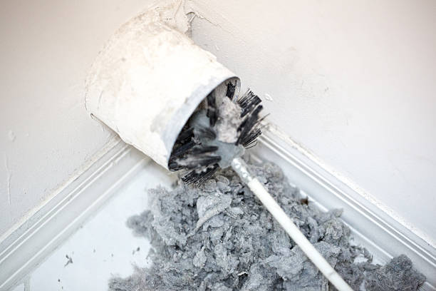Best Air Duct Sanitizing Services  in Vance, AL
